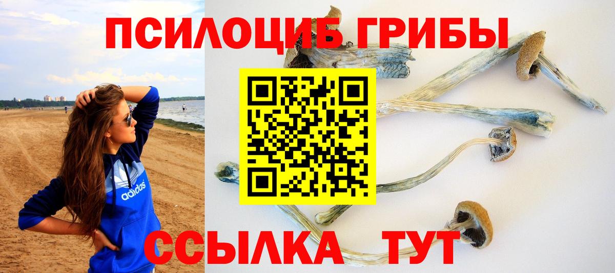 где купить наркотик  Вход с VPN  Сибай  Псилоцибиновые грибы GOLDEN TEACHER 